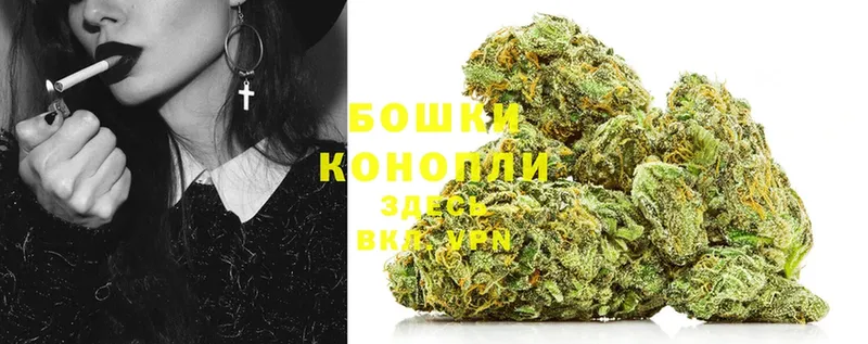 продажа наркотиков  Болгар  Канабис White Widow 